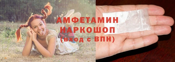 сатива Корсаков