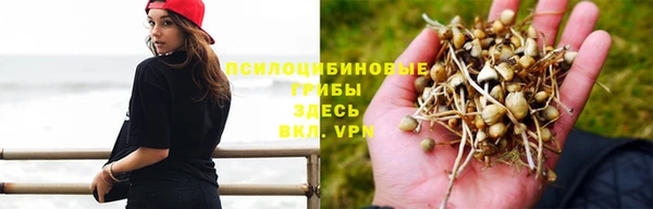 шишки Абдулино