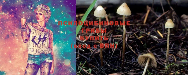 шишки Абдулино