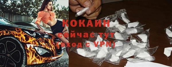 шишки Абдулино