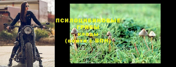 шишки Абдулино