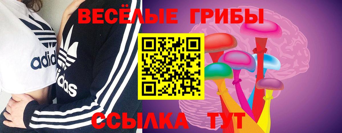 цена наркотик  Псилоцибиновые грибы Psilocybine cubensis  Вход с VPN  Фурманов  Псилоцибиновые грибы ЛСД 